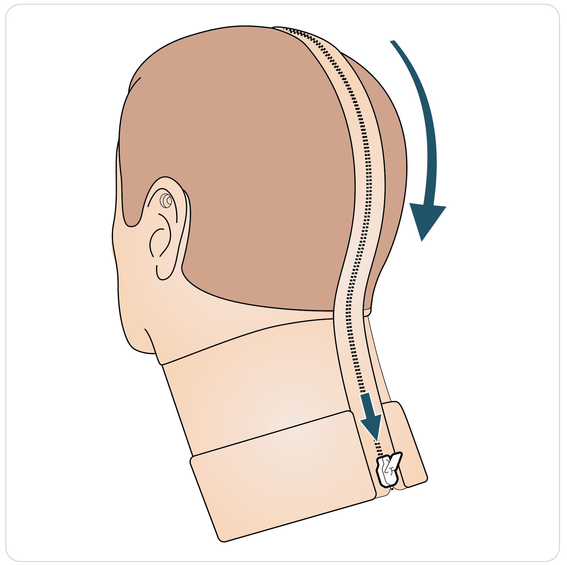 Paligo__Trauma_Head_Neck_Airway_7.png